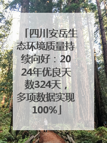 四川安岳生态环境质量持续向好：2024年优良天数324天，多项数据实现100%