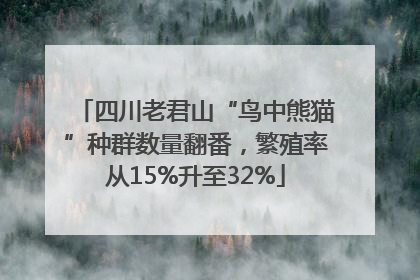 四川老君山“鸟中熊猫”种群数量翻番，繁殖率从15%升至32%