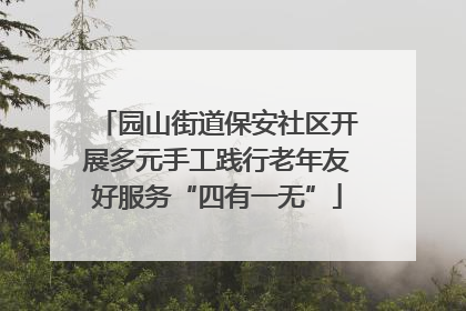 园山街道保安社区开展多元手工践行老年友好服务“四有一无”