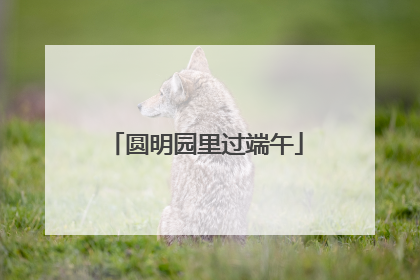 圆明园里过端午