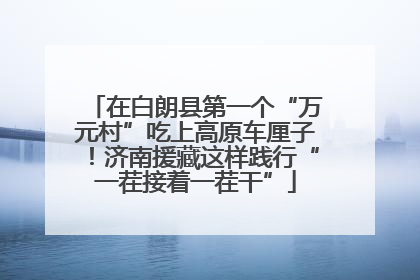 在白朗县第一个“万元村”吃上高原车厘子！济南援藏这样践行“一茬接着一茬干”