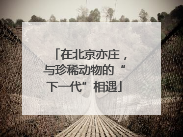 在北京亦庄，与珍稀动物的“下一代”相遇