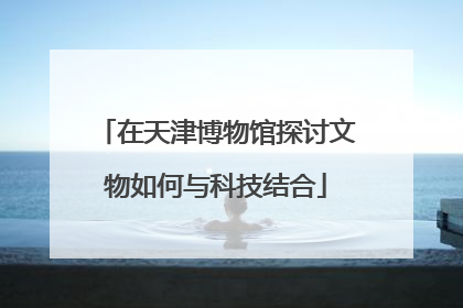 在天津博物馆探讨文物如何与科技结合