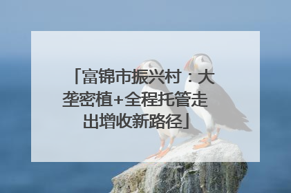 富锦市振兴村：大垄密植+全程托管走出增收新路径