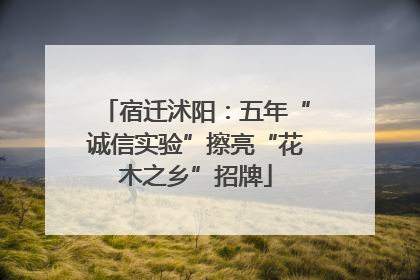 宿迁沭阳：五年“诚信实验”擦亮“花木之乡”招牌