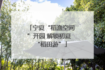 宁夏“稻渔空间”开园 解锁初夏“稻田游”