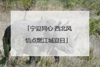 宁夏同心 西北风情点燃江城夏日