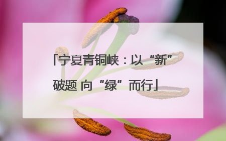 宁夏青铜峡：以“新”破题 向“绿”而行
