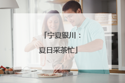宁夏银川：夏日采茶忙