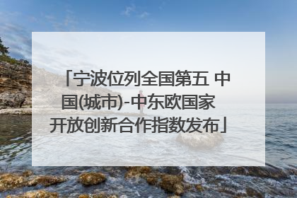 宁波位列全国第五 中国(城市)-中东欧国家开放创新合作指数发布