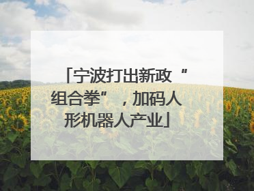 宁波打出新政“组合拳”，加码人形机器人产业