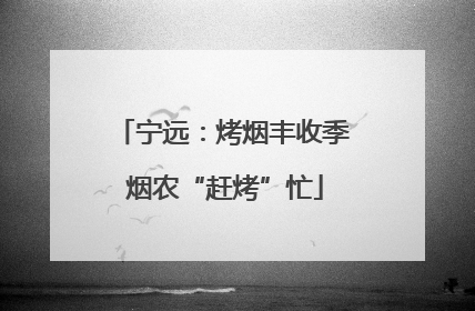 宁远：烤烟丰收季 烟农“赶烤”忙