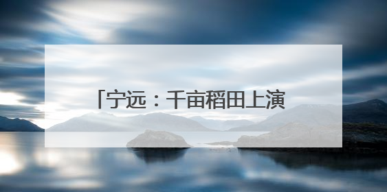 宁远：千亩稻田上演 “智慧种田” 升级
