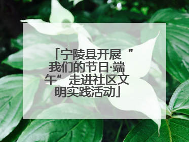 宁陵县开展“我们的节日·端午”走进社区文明实践活动