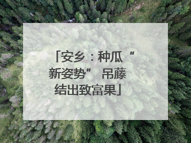安乡：种瓜“新姿势” 吊藤结出致富果
