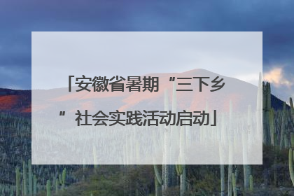 安徽省暑期“三下乡”社会实践活动启动