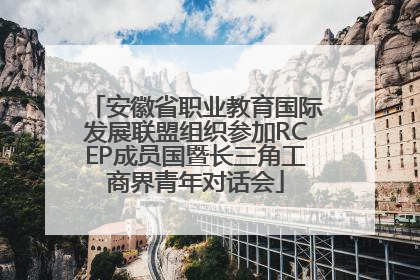 安徽省职业教育国际发展联盟组织参加RCEP成员国暨长三角工商界青年对话会