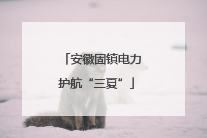 安徽固镇电力护航“三夏”