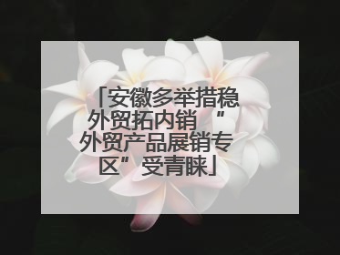 安徽多举措稳外贸拓内销 “外贸产品展销专区”受青睐