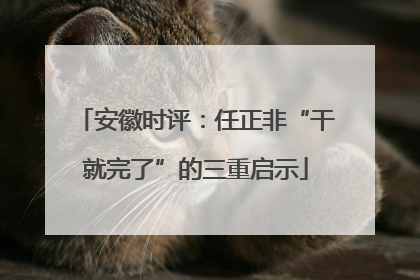 安徽时评：任正非“干就完了”的三重启示