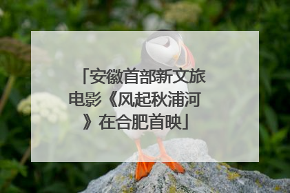 安徽首部新文旅电影《风起秋浦河》在合肥首映