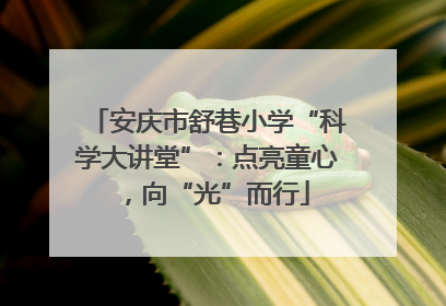 安庆市舒巷小学“科学大讲堂”：点亮童心，向“光”而行