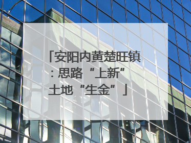 安阳内黄楚旺镇：思路“上新” 土地“生金”