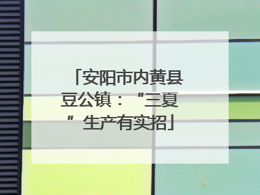 安阳市内黄县豆公镇：“三夏”生产有实招