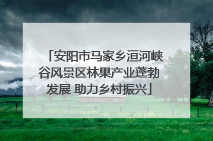 安阳市马家乡洹河峡谷风景区林果产业蓬勃发展 助力乡村振兴