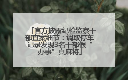 官方披露纪检监察干部查案细节：调取停车记录发现3名干部假“办事”真麻将