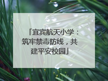 宜宾航天小学：筑牢禁毒防线，共建平安校园