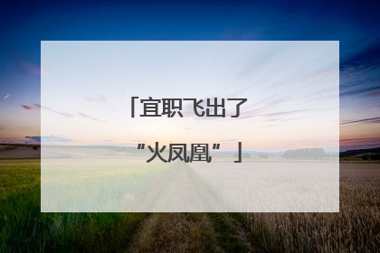 宜职飞出了“火凤凰”