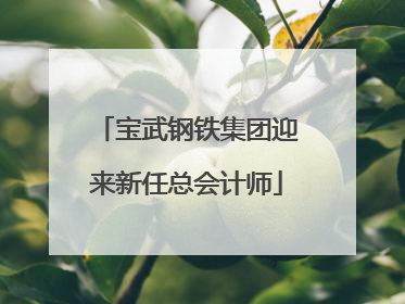 宝武钢铁集团迎来新任总会计师