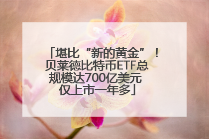 堪比“新的黄金”！贝莱德比特币ETF总规模达700亿美元 仅上市一年多