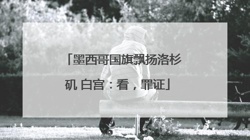 墨西哥国旗飘扬洛杉矶 白宫：看，罪证