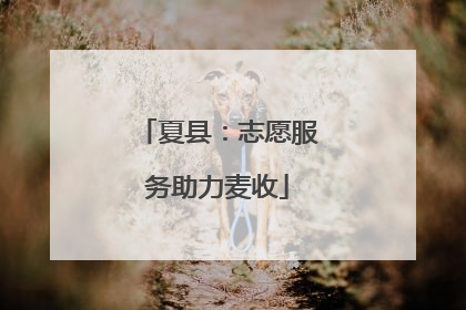 夏县：志愿服务助力麦收