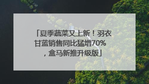 夏季蔬菜又上新！羽衣甘蓝销售同比猛增70%，盒马新推升级版