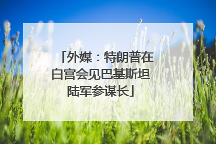 外媒：特朗普在白宫会见巴基斯坦陆军参谋长