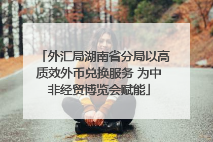 外汇局湖南省分局以高质效外币兑换服务 为中非经贸博览会赋能