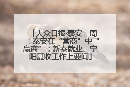 大众日报·泰安一周：泰安在“营商”中“赢商”；新泰就业、宁阳夏收工作上要闻