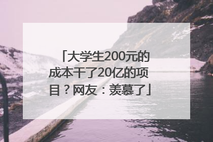 大学生200元的成本干了20亿的项目？网友：羡慕了