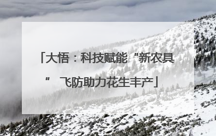 大悟：科技赋能“新农具” 飞防助力花生丰产