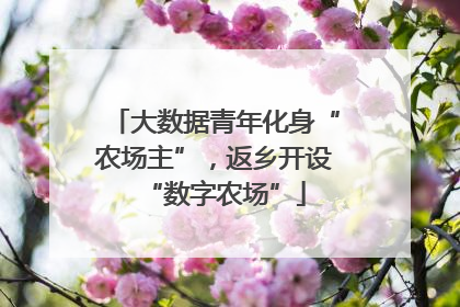 大数据青年化身“农场主”，返乡开设“数字农场”