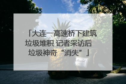 大连一高速桥下建筑垃圾堆积 记者采访后垃圾神奇“消失”