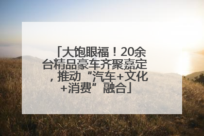 大饱眼福！20余台精品豪车齐聚嘉定，推动“汽车+文化+消费”融合