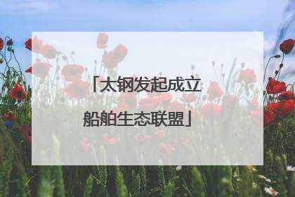 太钢发起成立船舶生态联盟