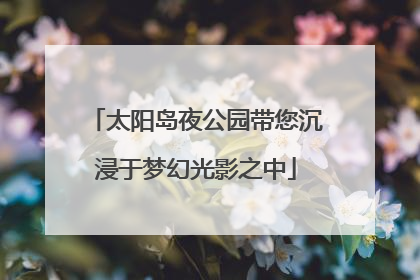 太阳岛夜公园带您沉浸于梦幻光影之中