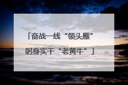 奋战一线“领头雁” 躬身实干“老黄牛”