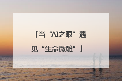当“AI之眼”遇见“生命微雕”