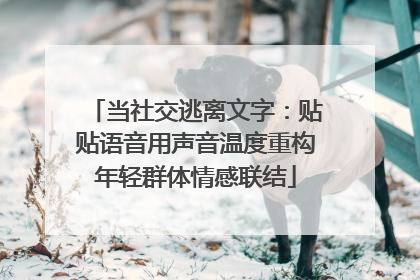 当社交逃离文字：贴贴语音用声音温度重构年轻群体情感联结